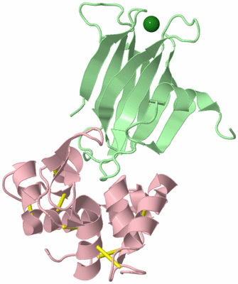 Image Biological Unit 2