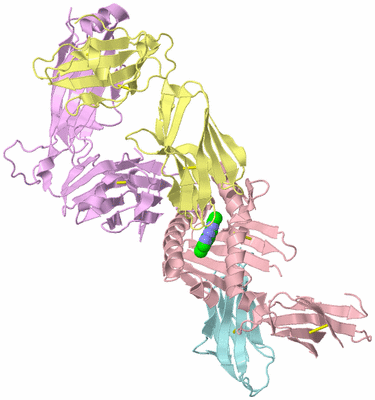 Image Biological Unit 2