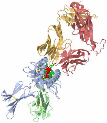 Image Biol. Unit 1 - sites