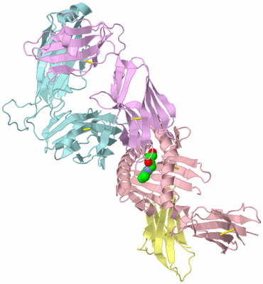 Image Biological Unit 2