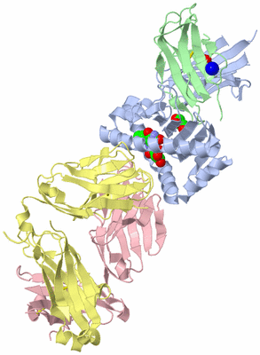 Image Asym./Biol. Unit