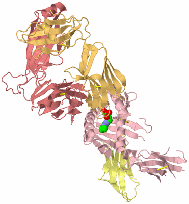 Image Biological Unit 2