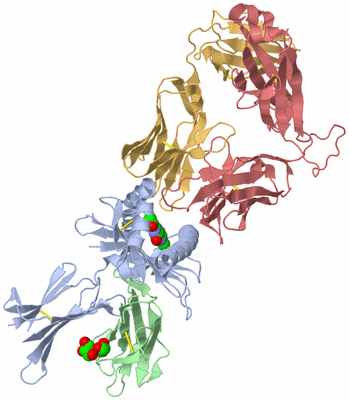 Image Biological Unit 1