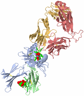 Image Biol. Unit 1 - sites