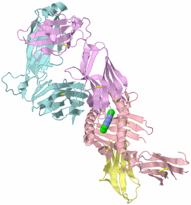 Image Biological Unit 2