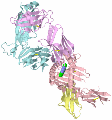 Image Biological Unit 2