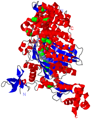 Image Asym./Biol. Unit