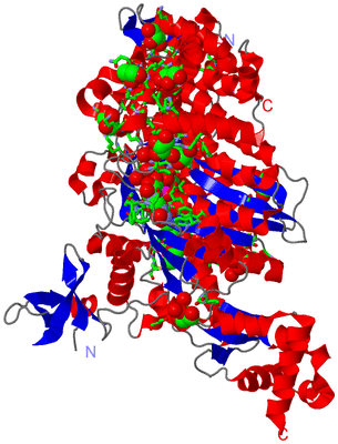 Image Asym./Biol. Unit - sites