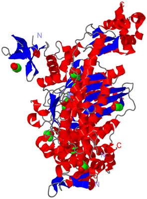 Image Asym./Biol. Unit