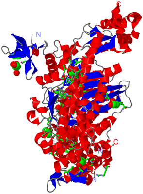 Image Asym./Biol. Unit - sites