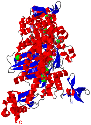 Image Asym./Biol. Unit