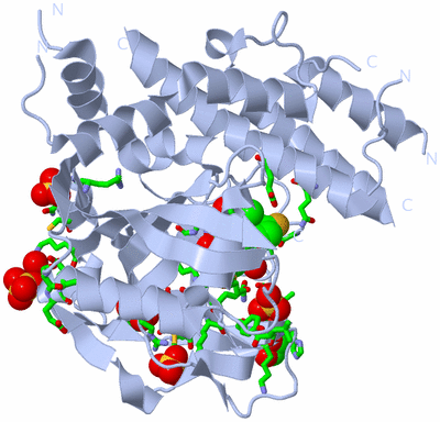 Image Biol. Unit 1 - sites