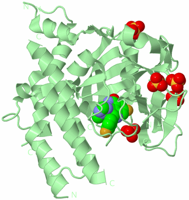 Image Biological Unit 2