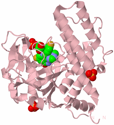 Image Biological Unit 3