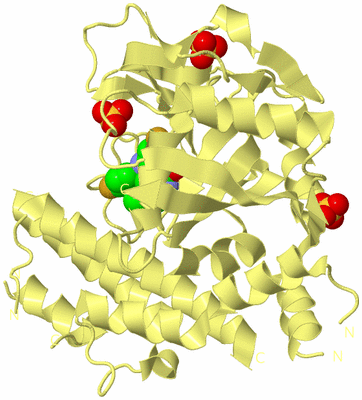 Image Biological Unit 4