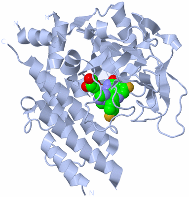 Image Biological Unit 1