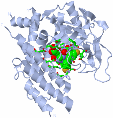 Image Biol. Unit 1 - sites