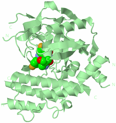 Image Biological Unit 2