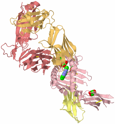 Image Biological Unit 2