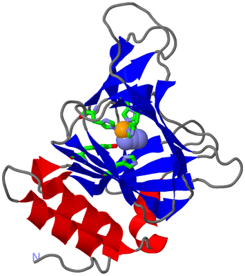 Image Asym./Biol. Unit - sites