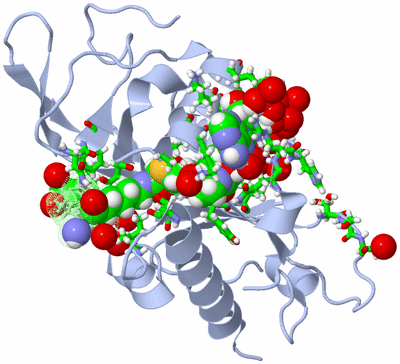 Image Asym./Biol. Unit - sites