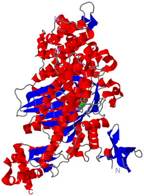 Image Asym./Biol. Unit