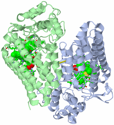 Image Asym./Biol. Unit - sites