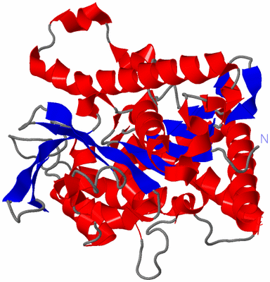 Image Asymmetric Unit
