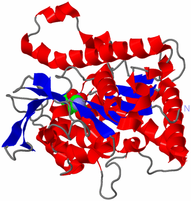 Image Asymmetric Unit