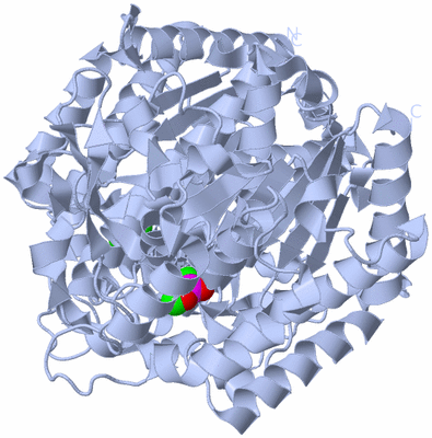 Image Biological Unit 2