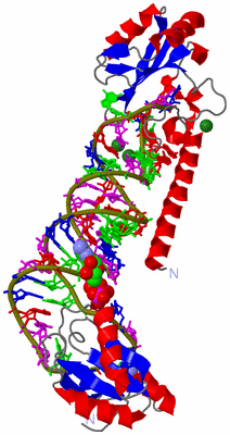 Image Asym./Biol. Unit