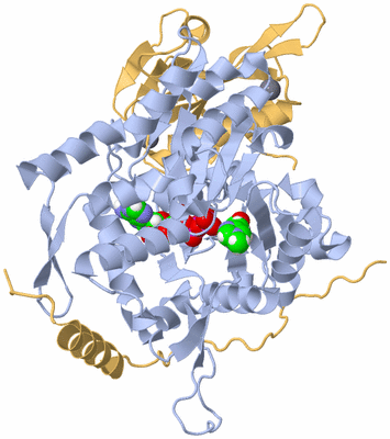 Image Asym./Biol. Unit