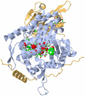 Image Asym./Biol. Unit - sites