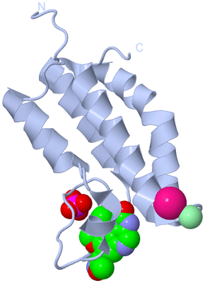 Image Biological Unit 1