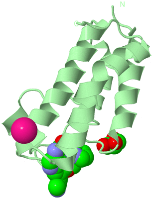 Image Biological Unit 2