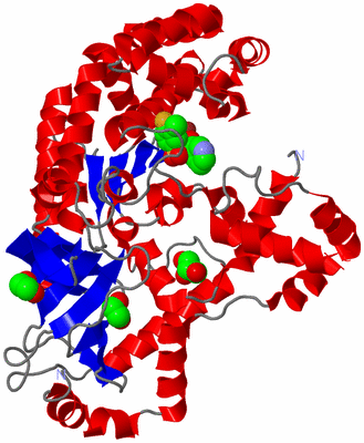 Image Asym./Biol. Unit