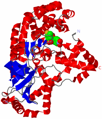 Image Asym./Biol. Unit