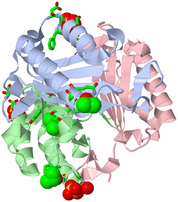 Image Asym./Biol. Unit - sites