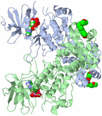 Image Asym./Biol. Unit