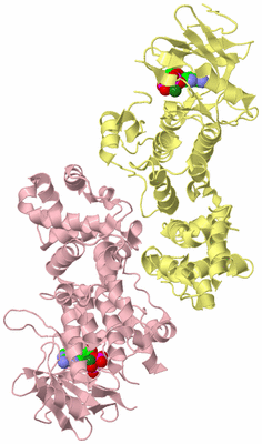 Image Biological Unit 2