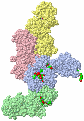 Image Asym. Unit - sites