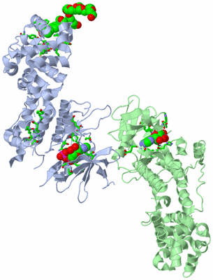 Image Biol. Unit 1 - sites