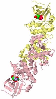 Image Biological Unit 2