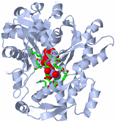 Image Biol. Unit 1 - sites