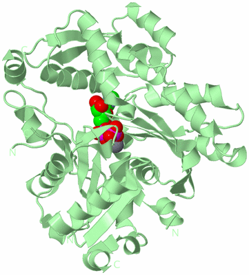 Image Biological Unit 2