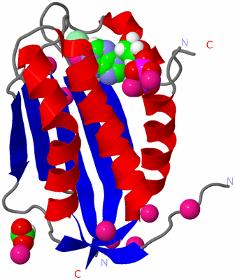 Image Asym./Biol. Unit