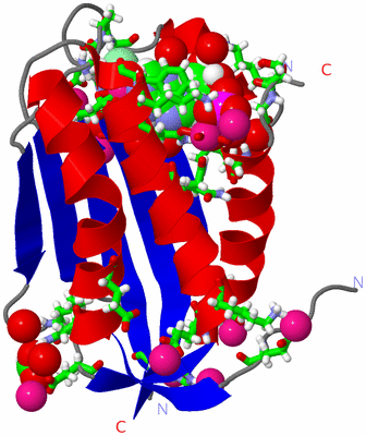 Image Asym./Biol. Unit - sites