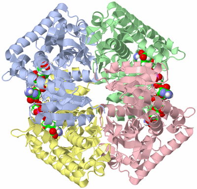 Image Asym./Biol. Unit