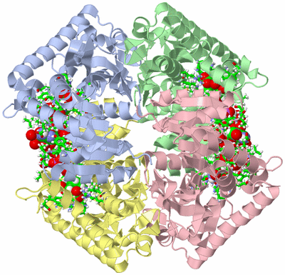 Image Asym./Biol. Unit - sites