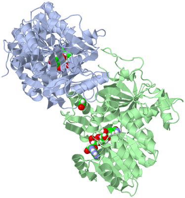 Image Asym./Biol. Unit